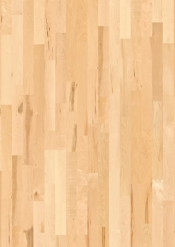 Ahorn kanadisch Animoso Schiffsboden